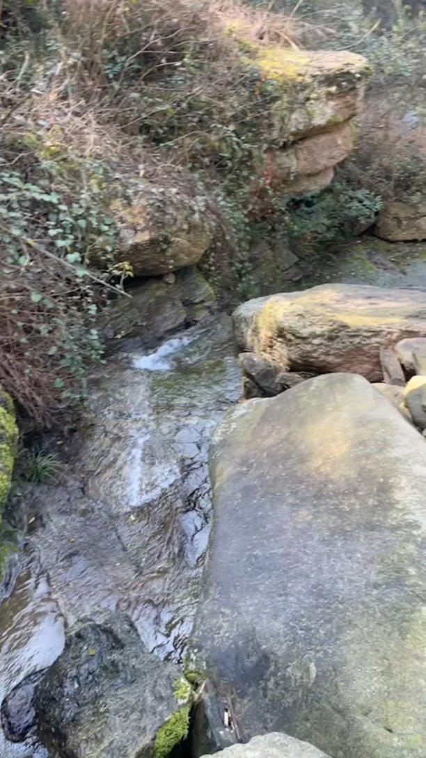 股海导航 1月25日沪深股市公告与交易提示
